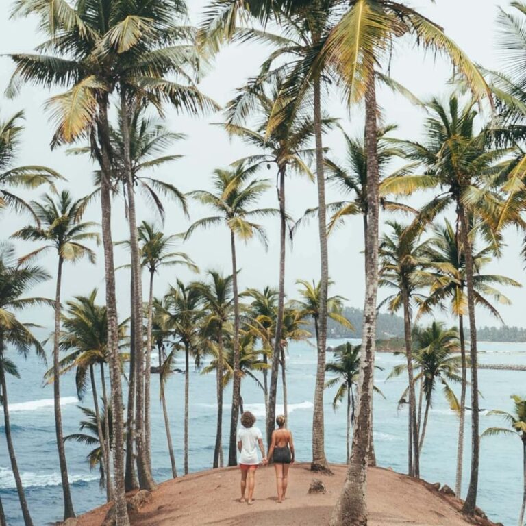 10 Coconut Hills Mirissa