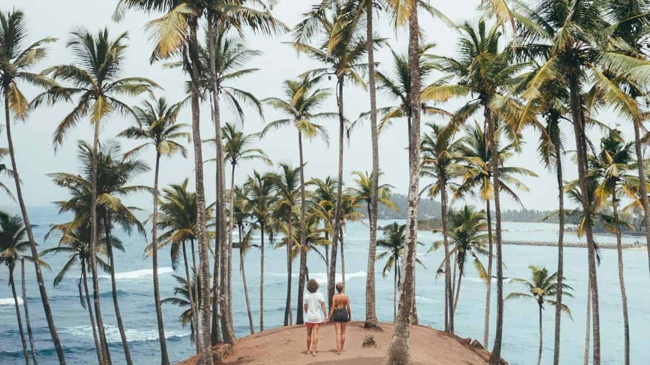 28 Mirissa Coconut