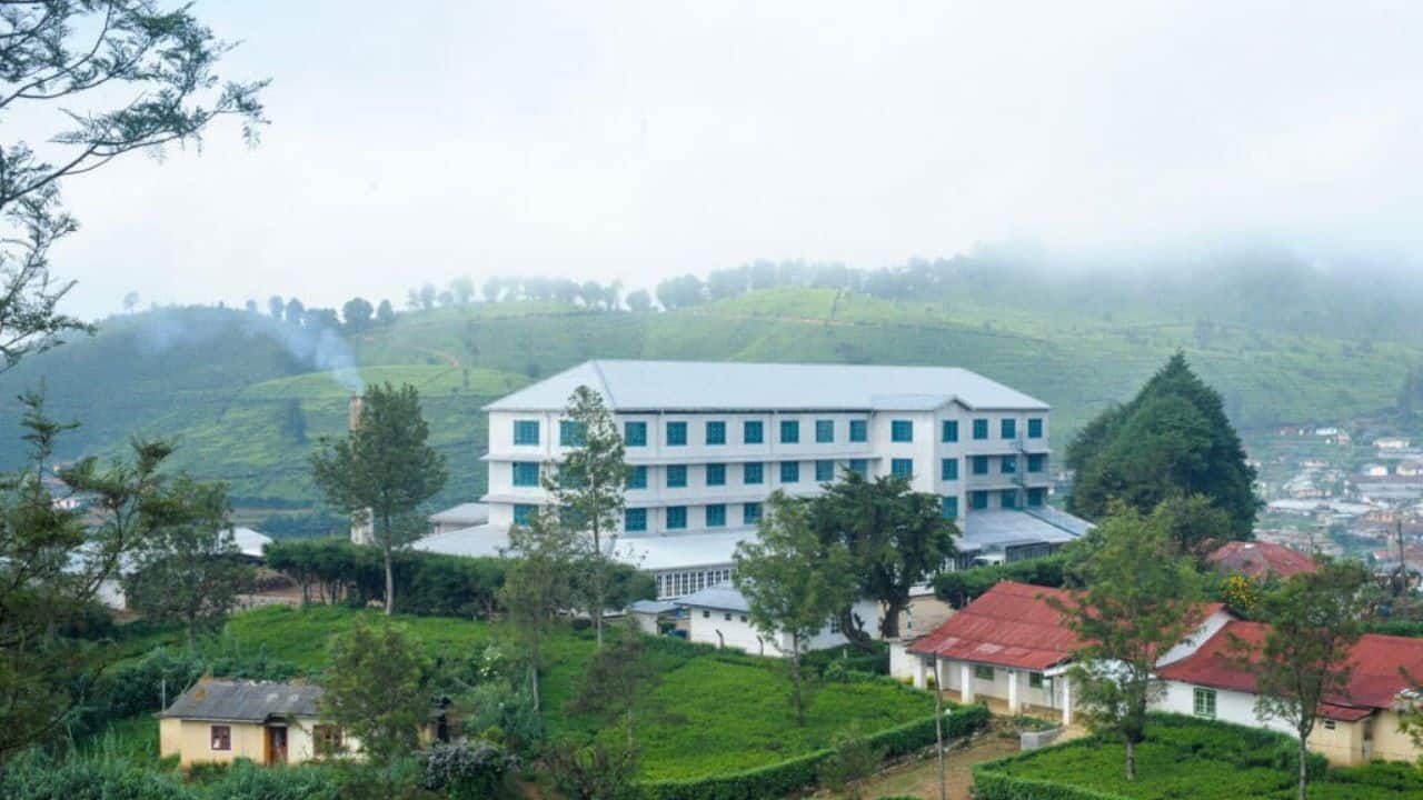 34 Tea Plantation Nuwara Eliya